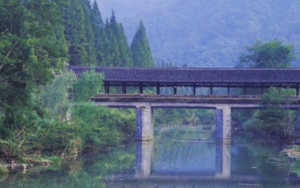 Hunan Tourism Network